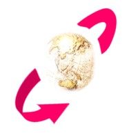 VAbsolute Ivanos Logo