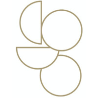 Coyo Partners Logo