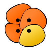 Gouvernance Cellulaire Logo