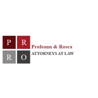 Profeanu & Rosca LLP Logo