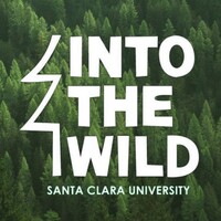 Into the Wild Logo
