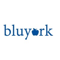 BluYork Muzic Logo