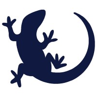 Lagarsoft SRL Logo