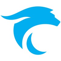 Ocean Wolf Consulting Logo