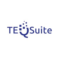 TEQSuite Global Solutions Logo