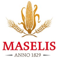 Maselis NV Logo
