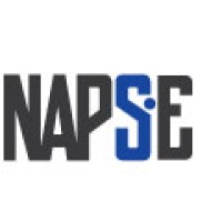 NAPSE Intelligence inc. Logo