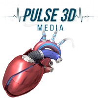 Pulse 3D Media Logo