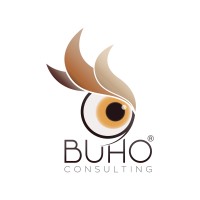 BUHO Consulting Logo