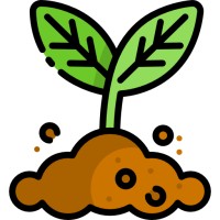 Buxton Hollow Farm Natural Products Logo
