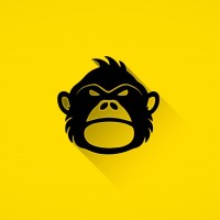 The Monkey Chile Logo