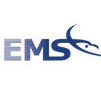 Eagleview Managed Services Logo