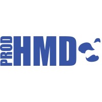 His Masters Dance, LLC Logo