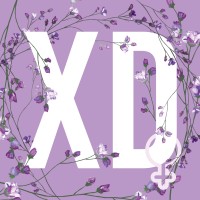 XalDigital Logo
