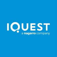 iQuest Group Logo