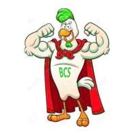 Big Chicken Supply Logo