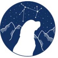 Blaze Search Logo