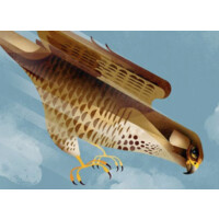 FalconHawk Productions Logo