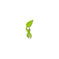 Journey of Mind Inc. Logo