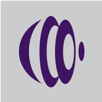 Introspect Corporation Logo