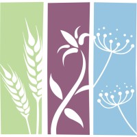 Uptown Allergy & Asthma Logo