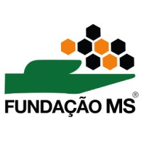 Fundação MS Logo