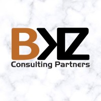 BKZ Consulting Partners, Inc. Logo