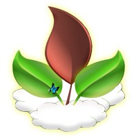 The Nathan Leaf Foundation for Patient Advocacy Logo