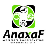 AnaxaF Logo
