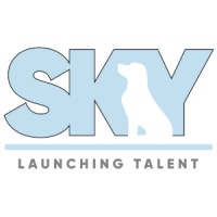 Sky Services Logo
