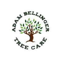 24hr Tree Care / Adam Bellinger Tree Care Logo