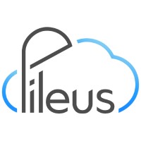 Pileus Logo