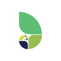 Allora Solutions Group, LLC. Logo