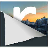 reveal it Logo