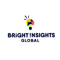 Bright Insights Global LLC Logo