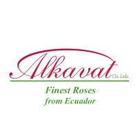 Alkavat Group Logo
