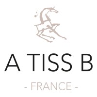 A TISS B Logo