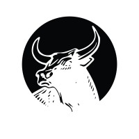 Black Bull Capital Partners LLC Logo