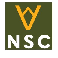 New State Consulting, LLC Logo