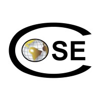 COSE & Asociados Logo
