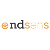 ENDSenS Logo