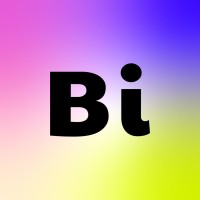Bi Media Logo