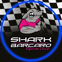 SHARK TEAM ASD Logo