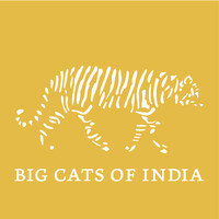 Big Cats of India Logo