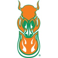 Cosaint Cyber LLC Logo