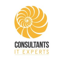 Consultants IT Experts Logo