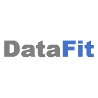 DATAFIT Soluções e Consultoria Logo