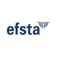 efsta IT Services Logo