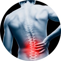 Back In Action Logo