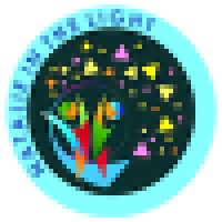 Natalie in the Light, Inc. Logo